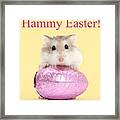 Hammy Easter Framed Print