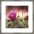 Handle With Care Framed Print