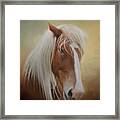 Handsome Belgian Horse Framed Print