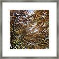 Happy Fall Yall Framed Print