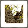 Happy In Her Hideout Framed Print