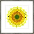 Happy Sunflower Mandala By Kaye Menner Framed Print