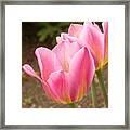 Happy Together Framed Print