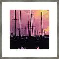 Harbor Glow Framed Print