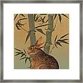 Hare Under Bamboo Tree Framed Print