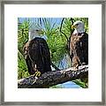 Harriet And M15 Love Birds Framed Print