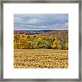 Harvested Framed Print