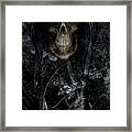 Haunted Forest Framed Print