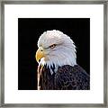Have My Eye On You Two Framed Print