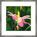 Hawaiian Wildflower Framed Print