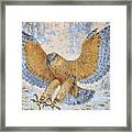 Hawk Framed Print