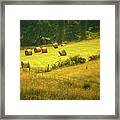 Hay Rolls - Rural America Framed Print