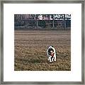 He Was So Happy In The Park Today Framed Print