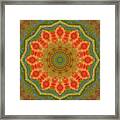 Healing Mandala 14 Framed Print