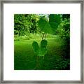 Heart And Butterfly Framed Print