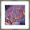 Heart Autumn Leaves Sedona Framed Print