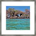 Heart Bridge Framed Print