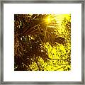 Heat Of The Palm Framed Print