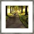 Serenity - Walk With Black Labrador Framed Print