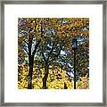 Hello Walk Ii Framed Print