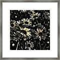 Her Daisies Framed Print