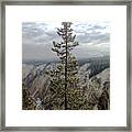 Her Majesty Yellowstone National Park Framed Print