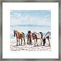 Herd Of Horses On Beach Framed Print