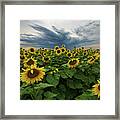 Here Comes The Sun Framed Print