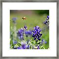 Here's Looking At You Framed Print