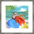Hermit Crab On A Beachball Framed Print
