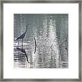 Heron In Pastel Waters Framed Print