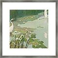 Herons In Summer Framed Print