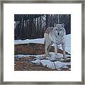 Hesitation Framed Print