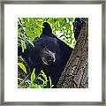 Hi There Framed Print