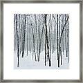 Hiawatha Forest Snow Framed Print