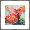 Hibiscus Majesty Framed Print