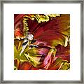 Hibiscus Spice Framed Print