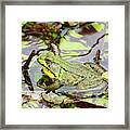 Can You See Me? Framed Print