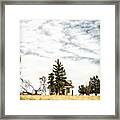 Hideaway Framed Print