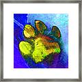 High Five Framed Print