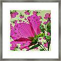 High Tea With Pink Hibiscus Framed Print