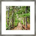 Hiking Trail Framed Print