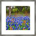 Hill Country Forest Framed Print