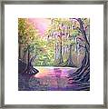Withlacoochee River Nobleton Florida Framed Print