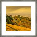 Hillside Vineyard Framed Print