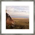 His Domain Framed Print