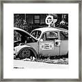 Historic Beetle Framed Print