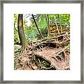 Hocking Hills Ohio Old Man's Gorge Trail Framed Print