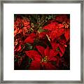 Holiday Painted Poinsettias Framed Print