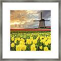 Holland Windmill Framed Print